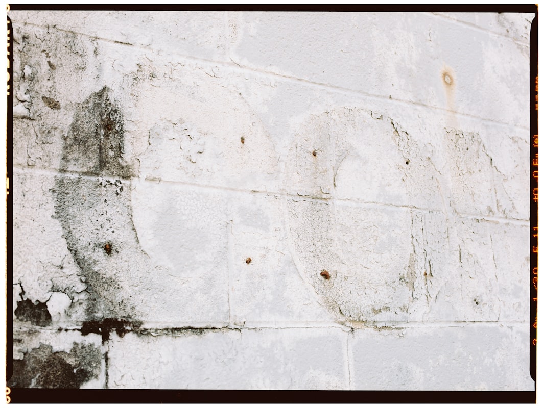 Mold Remediation service in Coconut Creek, FL