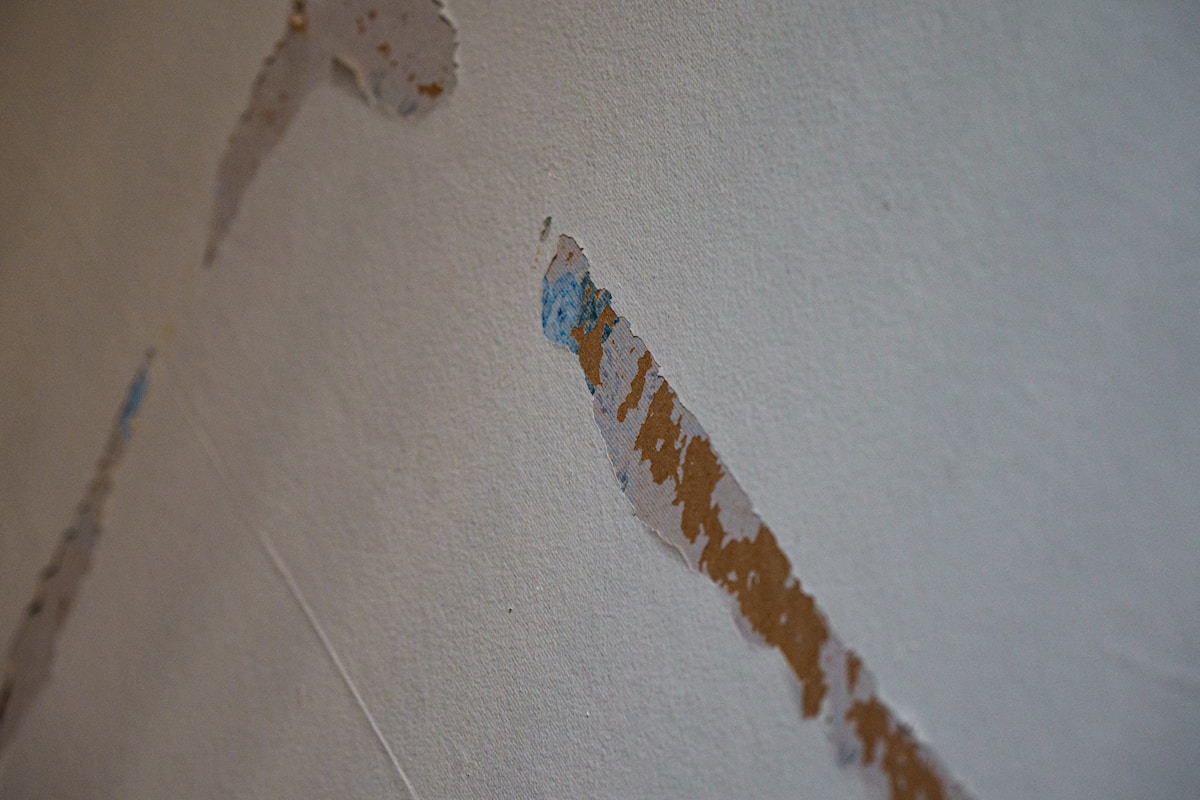 Flood Cleanup service in Coconut Creek, FL